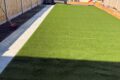 Artificial Grass